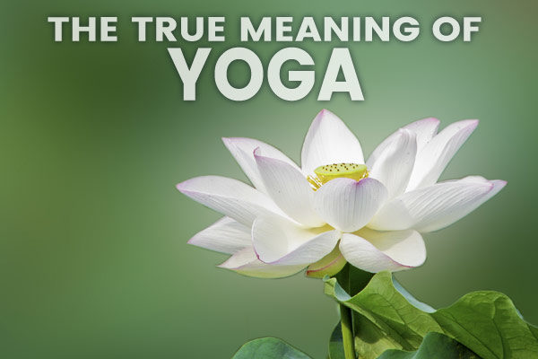 meaning of yoga