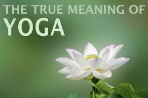 The true meaning of yoga